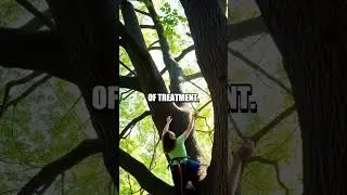 A Day in the Life of a Certified Tree Climber