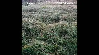 Steve Gunn - Music for Writers - 10 Pedvale Sunrise