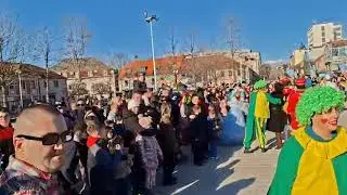 Karavan mimoze u Nik&scaron;iću