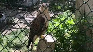 Kabul Zoo, Kabul, Afghanistan