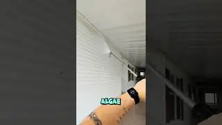 Our house washing process! Sub for more!
