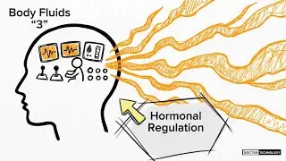 Hormonal Regulation of Body Fluids | ADH, RAAS & ANP Explained (Part 3)