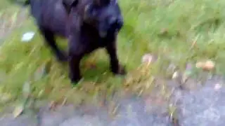 20091115031
