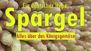 Spargel & Spargelzeit in Deutschland:  Alles über das Königsgemüse 🍽