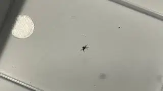 Push me again lol