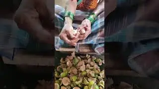 Areca nut processing || A 4 Creations #arecanutfarming #supari