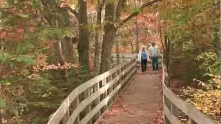 Sault Ste. Marie, Michigan: Beautiful Fall