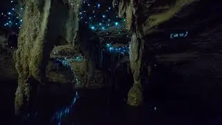 Adult Swim Bump: Time Lapse of Glow Worms Moving inside a Cave (FANMADE)