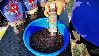 Pescuit la method feeder pe un lac necunoscut. 