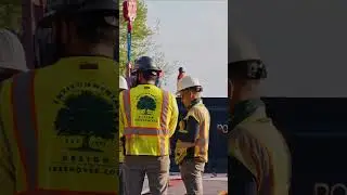 We Moved GIANT Trees Across the Water on a Barge &ndash; You Won&rsquo;t Believe This!