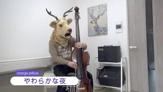 『やわらかな夜』 / orange pekoe　ウッドベース弾いてみた contrabass cover
