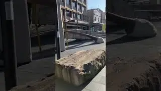 Palm tree growing through a big rock