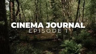 Cinema Journal 1 (GH5 & Sigma 18-35 & Black Pro Mist)
