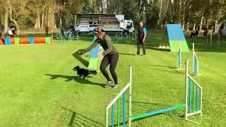 VdH R&uuml;lzheim 23.09.2017 - Yoki A1 + J 1/2 V0 Platz 1