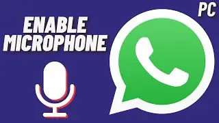 How to Enable Microphone in WhatsApp - Windows 11