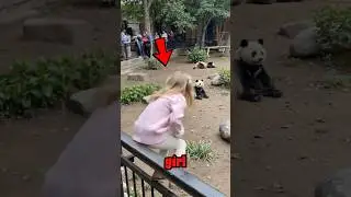 Horrific Incident Happened to Girl at Zoo! 😱🐼