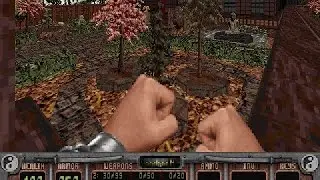 Shadow Warrior - 