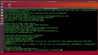 How To Run GitLab with Self-Signed SSL Certificate On Ubuntu 18