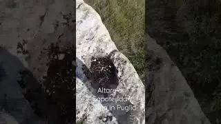 Altro bellissimo altare con vasca lungo il sentiero rituale di Capotenda,  Gravina in Puglia.