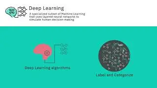 Terminology and Related Concepts - Introduction to Artificial Intelligence (AI)