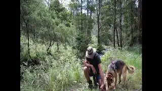 Screw In Tent Pegs