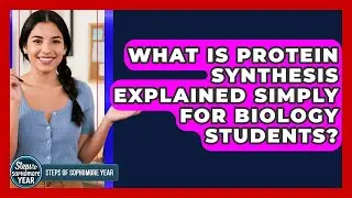 What Is Protein Synthesis Explained Simply For Biology Students? - Steps to Sophomore Year