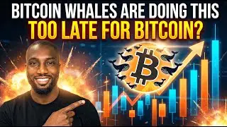 Bitcoin Whales Are Doing This | Is It Too Late?
