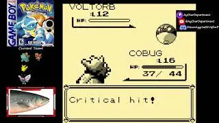 Super Nerd Guarding the Fossils of Mount Moon (Pokemon Blue)