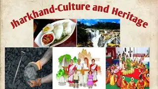 Unity in Diversity--