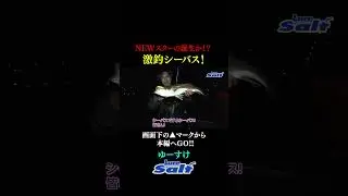 [Extreme Sea Bass Fishing] New Star (self-proclaimed) Yusuke's amazing catch! Is this guy truly a...