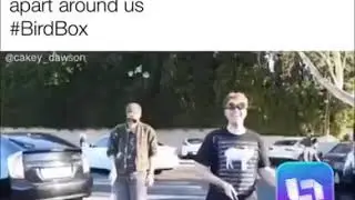 Bird Box MEMES Compilation