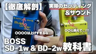 【9割が知らない】BOSS SD-1w & BD-2wの真のポテンシャルを解放する禁断のセッティングを解説します。【ギター】【エフェクター】【田中の音作り大学】