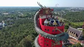 Dragon Temple