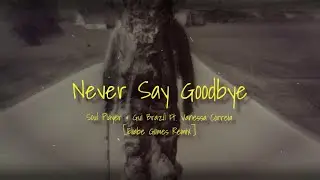 SoulPlayer & Gui Brazil ft. Vanessa Correia - Never Say Goodbye (Eliabe Gomes Remix) [Lyric Video]