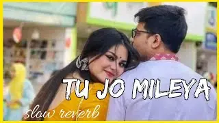 Tu Jo Mileya [ slowed + Reverb ] | Jussxmixsingh | Sr8474