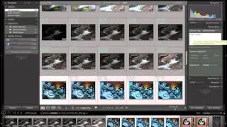 Lightroom 4 Keywords and metadata 9