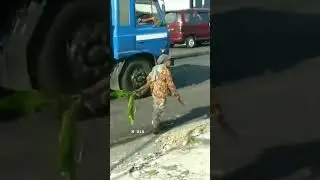 Dump truck asphalt unloading #shorts