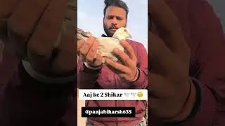 🕊️#trainingvideo #viralshorts #video #pigeonlaver #youtubeshorts #injoylife @PanjabiHarsh635 #viral