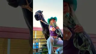When a good funk song comes on&hellip; #funk #goodtimes #horselife #musicthatmovesyou #horseriding #shorts