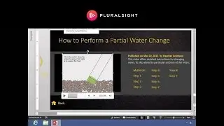 Embedding Video Using PowerPoint 2013