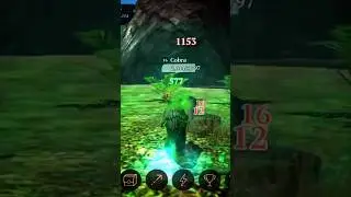 The Wolf vs Cobra 🐍