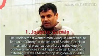 TOP 10 WORLD (MAFIA) DON'S