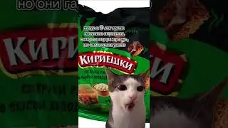 да#memes