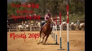 2019 Fiesta Pole Bending, Keyhole, & Barrel Racing!