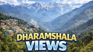 धर्मशाला की हसीन वादियों का नज़ारा #viral #shorts #dharamshala #snow #snowfall #kangra #shortsfeed