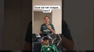 NOVO CRAQUE PINTANDO NO VERD&Atilde;O! ⚽️🐷🔥 #palmeiras #universopalestrino