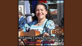 Penas Penitas