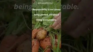 Accountability Over Perfection #AccountabilityOverPerfection #BeResponsible #OwnYourMistakes