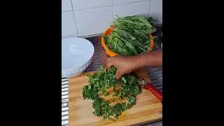 Fresh bitter Leaf stroke fresh green leaf