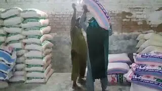 wheat flour loading 6